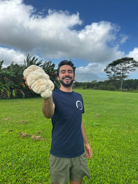 Lion's Mane Cacao (Energy)