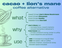 Lion's Mane Cacao (Energy)