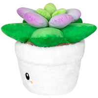 Squishable Succulent (Standard)